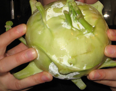 kohlrabi Kohlrabi