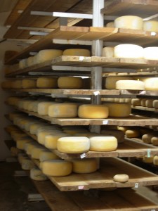 Fresh, beautiful cheese.