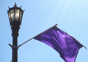 PurpleFlag