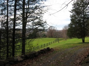 IMG_3539.2