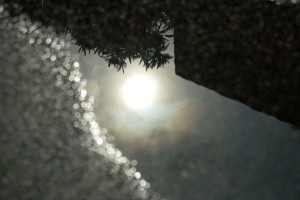 Moon Jeweled