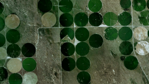 The Great Plains