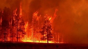 110610_Fire